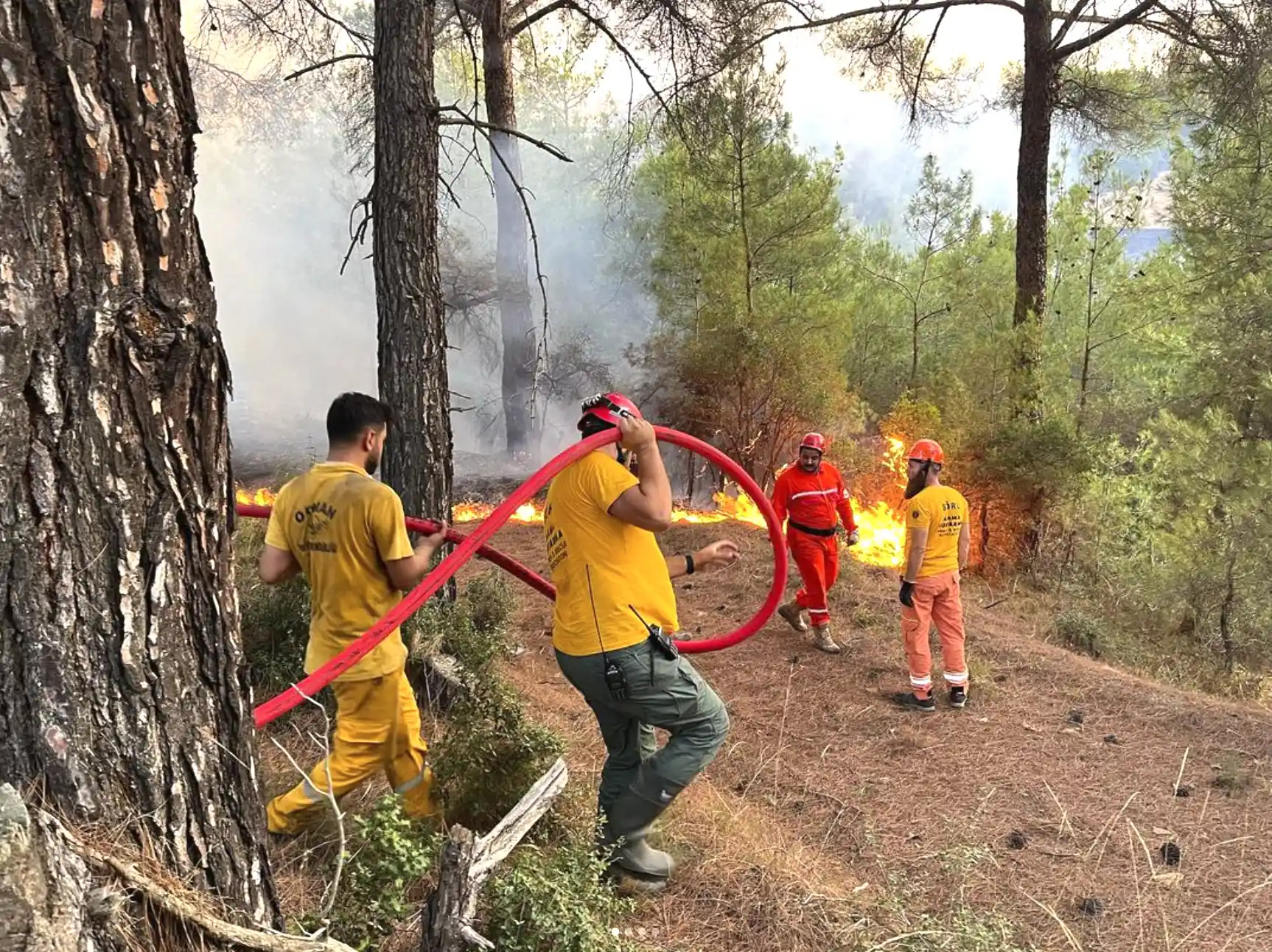 ÇANAKKALE ORMAN YANGINI